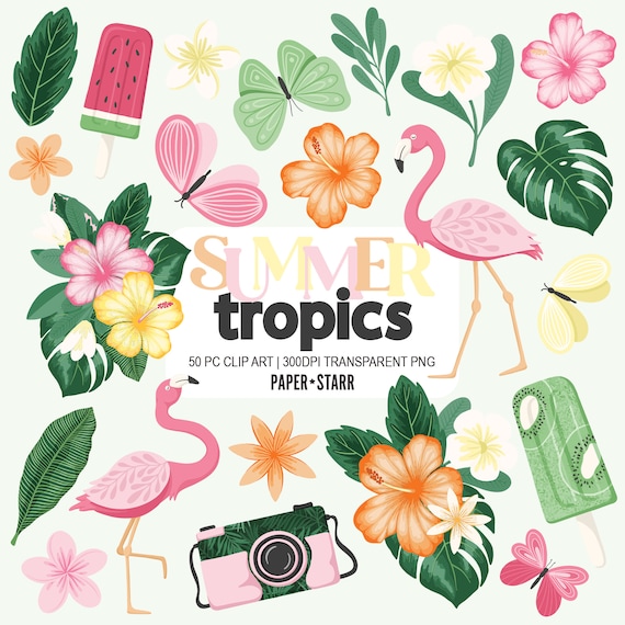 Summer Clipart, Tropical Clipart, Summer Invitation, Tropical Floral Clip Art, Summer Stickers, Tropical Stickers, Summer PNG, Tropical png