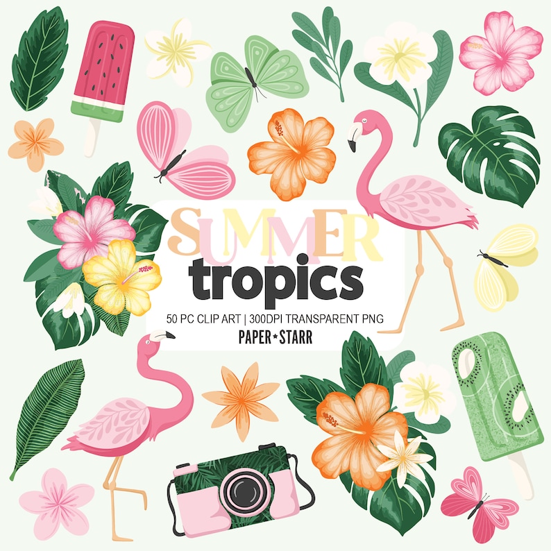 May include: A digital clip art set of 50 tropical summer illustrations. The set includes pink flamingos, hibiscus flowers, palm leaves, butterflies, ice pops, and a camera. The text "SUMMER tropics" is featured in the center of the image.