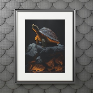 Turtle Rock Digital Art