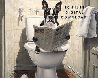 10 Boston Terrier Dog, Boston Terrier sitting on the toilet and reading a newspaper, Fun bathroom wall decor, Fun and unusual animal prints