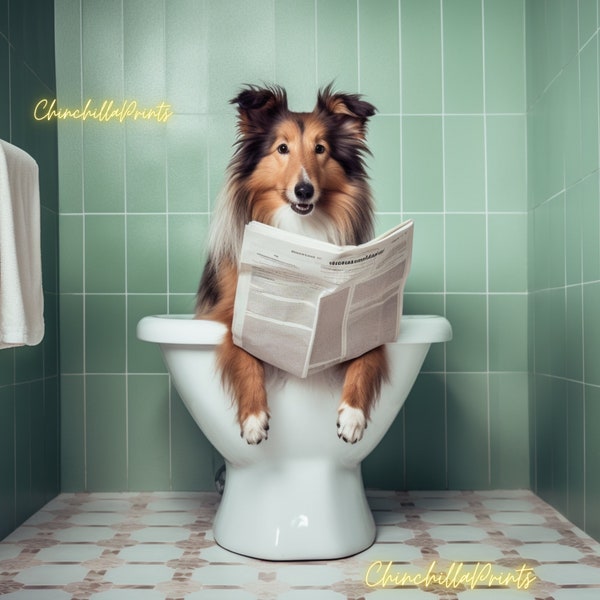 Sheltie Shetland Shepherd sitting on the toilet and reading a newspaper, Fun bathroom wall decor Fun and unusual animal prints Set 11 files