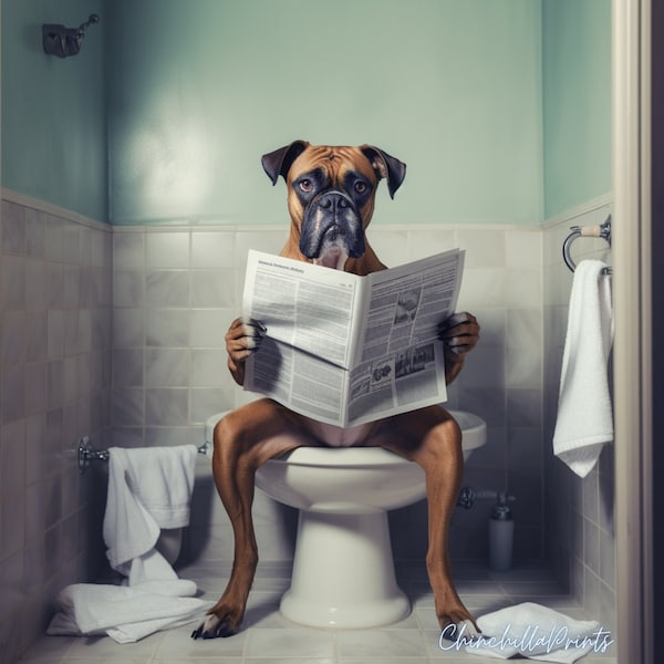 4 Boxer, Boxer Dog Sitting on the Toilet and Reading the Newspaper, Fun Bathroom Wall Decor, Fun and Quirky Animal Prints