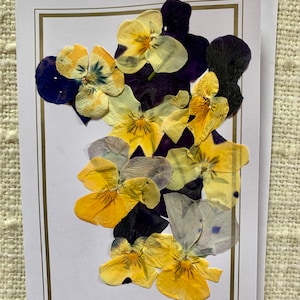 Handmade Pressed Flower Note Card: Original Floral Design