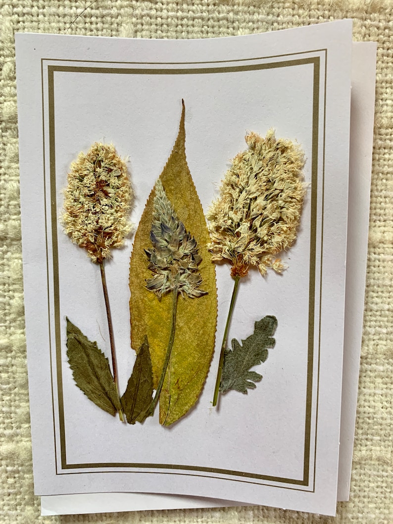 Handmade Pressed Flower Note Card: Original Floral Design - Etsy