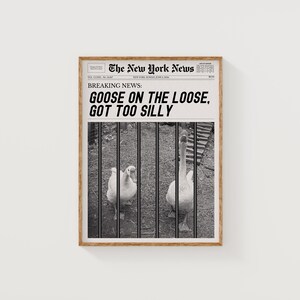 以下が含まれることがあります： 「GOOSE ON THE LOOSE, GOT TOO SILLY」という見出しが書かれた白黒の新聞記事。写真には、檻の中にいる2羽のガチョウが写っている。