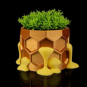 May include: A decorative planter with a geometric honeycomb design in shades of brown and yellow. The planter holds a vibrant green plant. The base of the planter has yellow, abstract shapes. The background is black.