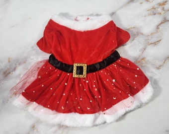 Puede incluir: Vestido de Navidad rojo de terciopelo y tul para una mascota con cinturón negro y hebilla dorada. El vestido tiene un ribete de piel blanca alrededor del cuello y el dobladillo.