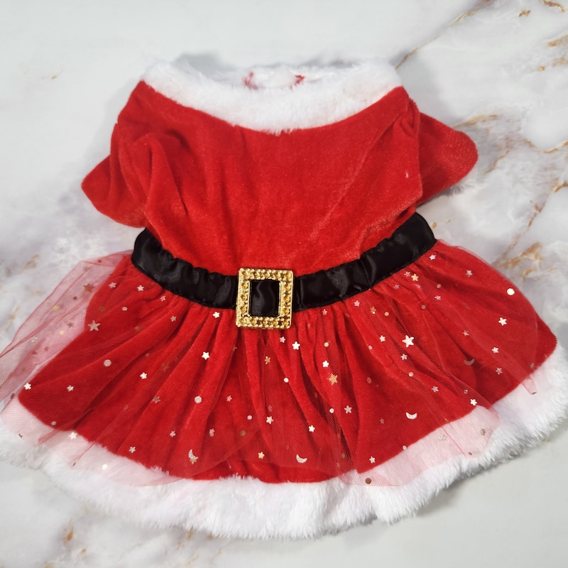 THICK DOG - Christmas Wish Doggy Dress main image 1