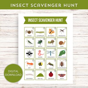 May include: A white printable insect scavenger hunt game with illustrations of various insects, including a spider, butterfly, and ladybug. The text "INSECT SCAVENGER HUNT" is at the top. A green circle with "DIGITAL DOWNLOAD" is in the lower left.