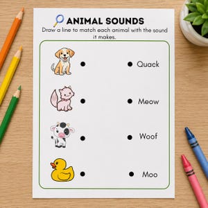 Kindergarten Science Worksheets, Homeschool Science, Science Activities for Kids, STEM Activities, Early Learning, Preschool Science (PDF) image 4