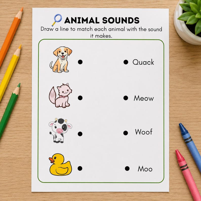 Kindergarten Science Worksheets, Homeschool Science, Science Activities for Kids, STEM Activities, Early Learning, Preschool Science (PDF) image 4