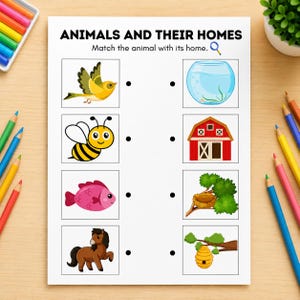 Kindergarten Science Worksheets, Homeschool Science, Science Activities for Kids, STEM Activities, Early Learning, Preschool Science (PDF) image 5