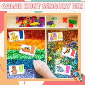 Cartões de lixeira sensorial de caça colorida, atividades de aprendizagem, lixeira sensorial de animais para impressão, atividades sensoriais pré-escolares, atividades de volta às aulas