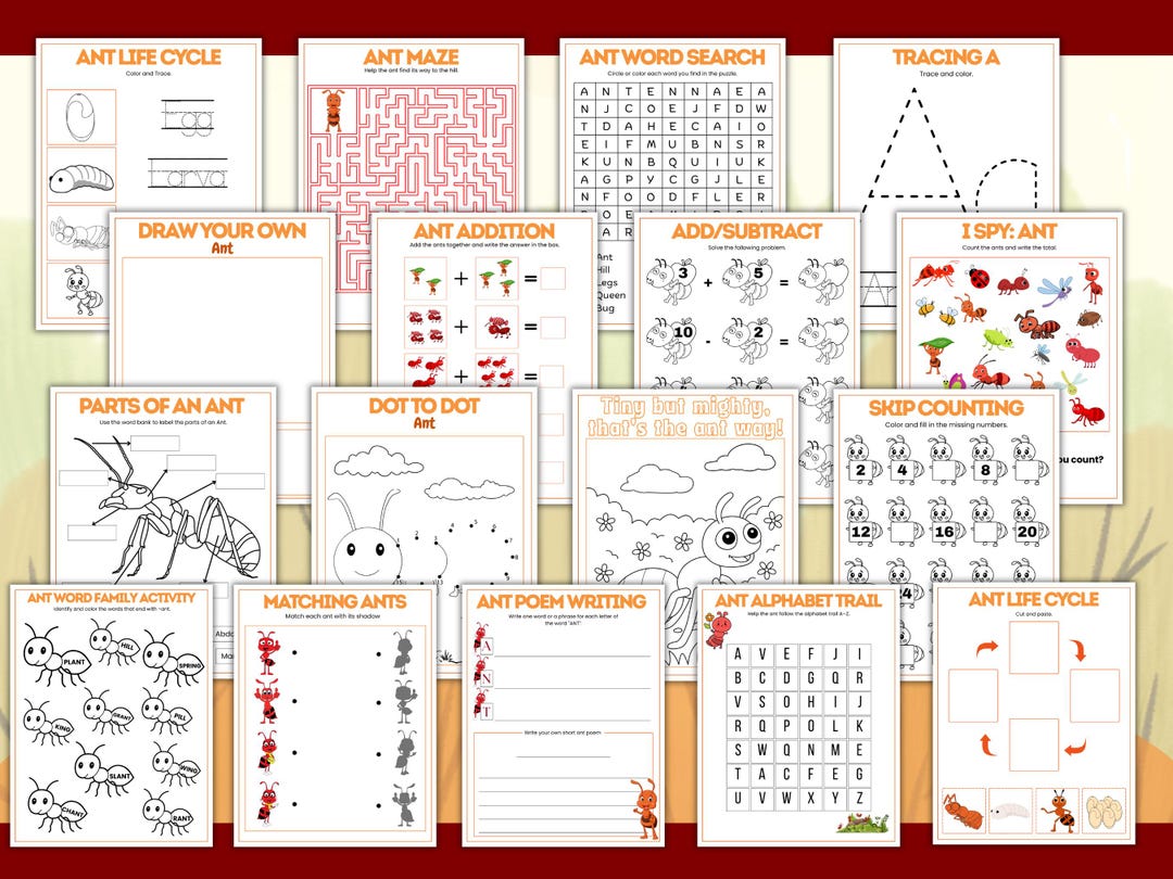Ant Math Ant Activity Bundle – I Spy, Tracing, Math, Mazes & Life Cycle ...