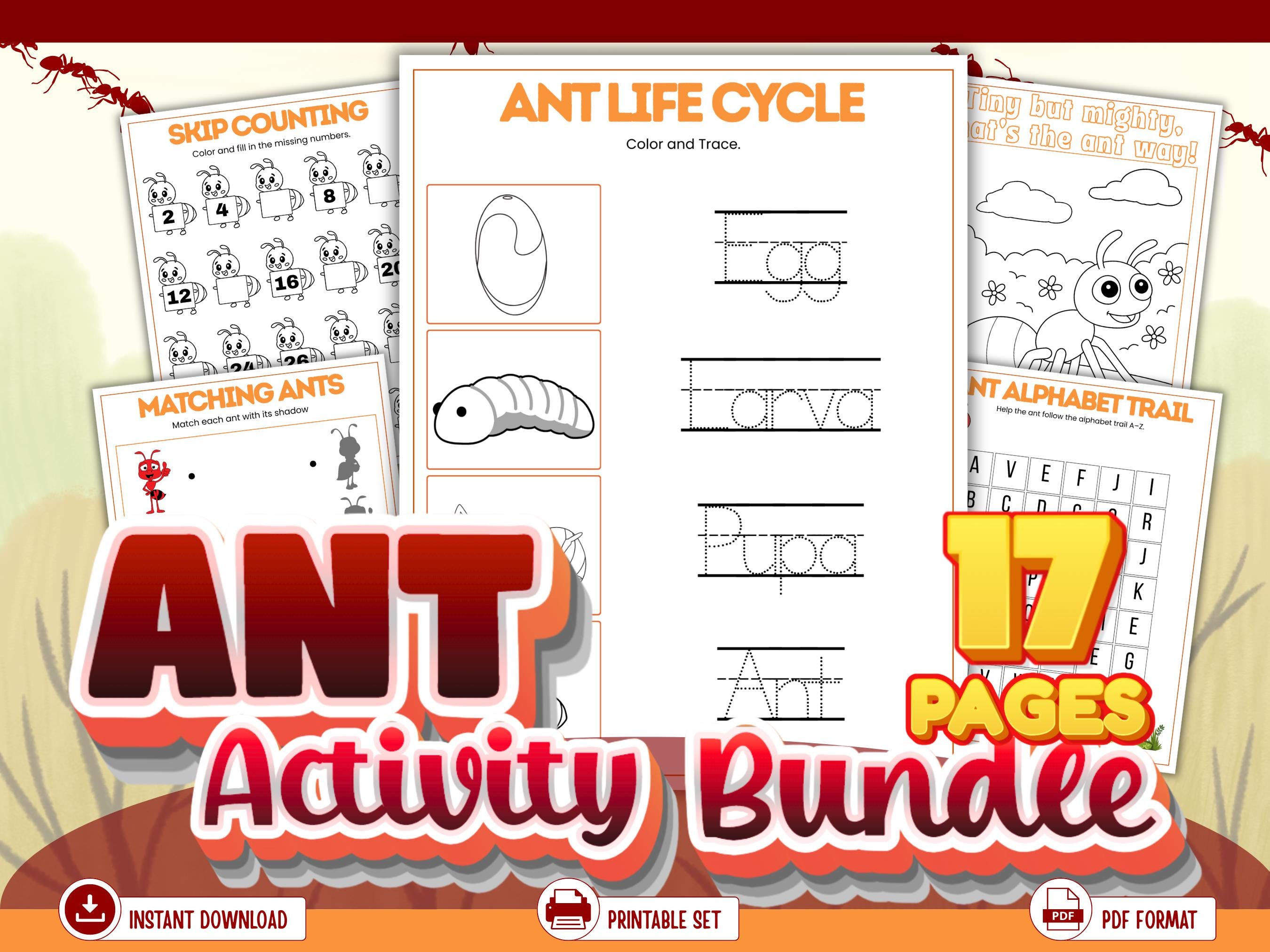 Ant Activity Bundle – I Spy, Tracing, Math, Mazes & Life Cycle ...