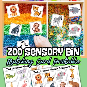 Cartões de caixa sensorial do Zoo Animal Match, atividades de aprendizagem, caixa sensorial do zoológico para impressão, atividades sensoriais pré-escolares, atividades de volta às aulas