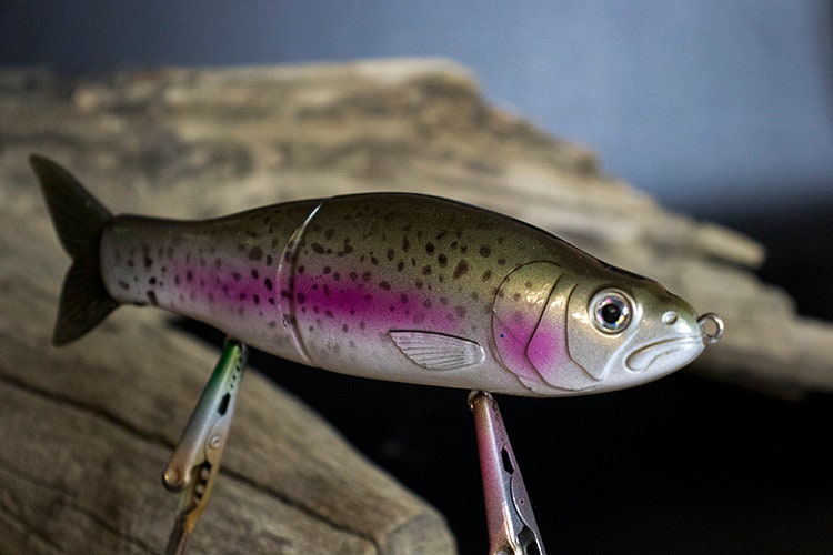 Rainbow Trout Swimbait - Etsy