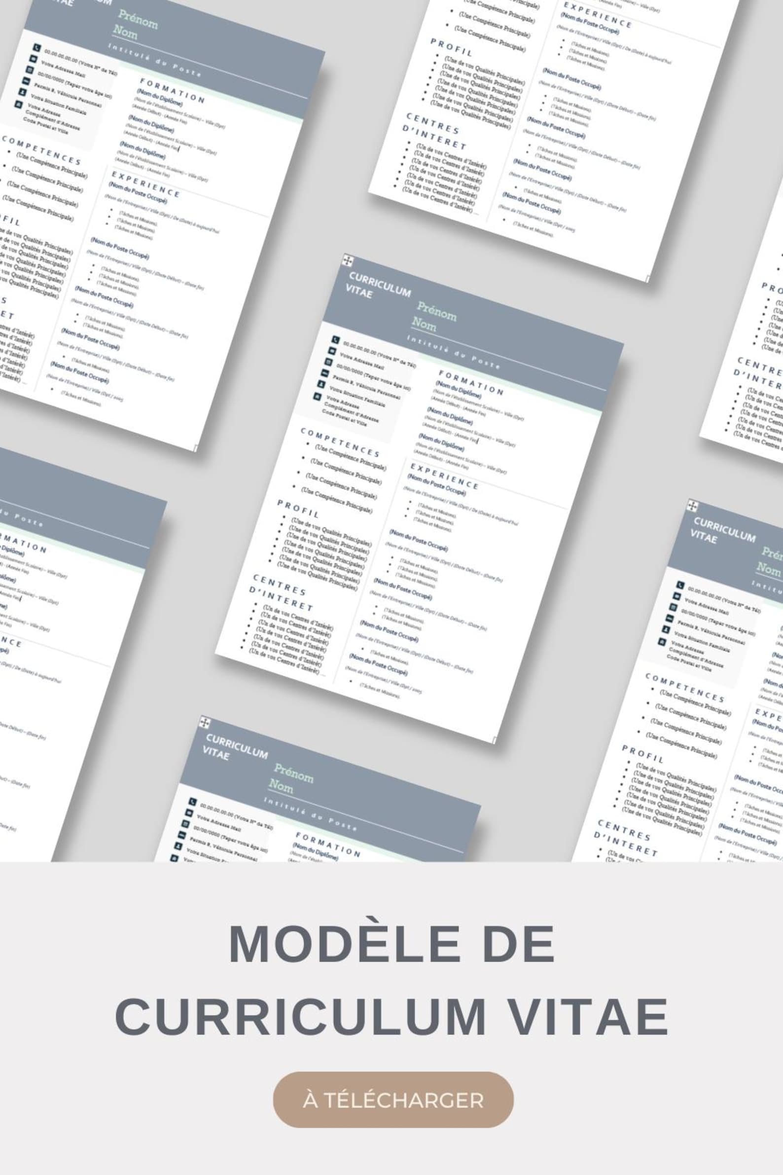 Professional CV Template Without Photo and in French, on Word ...