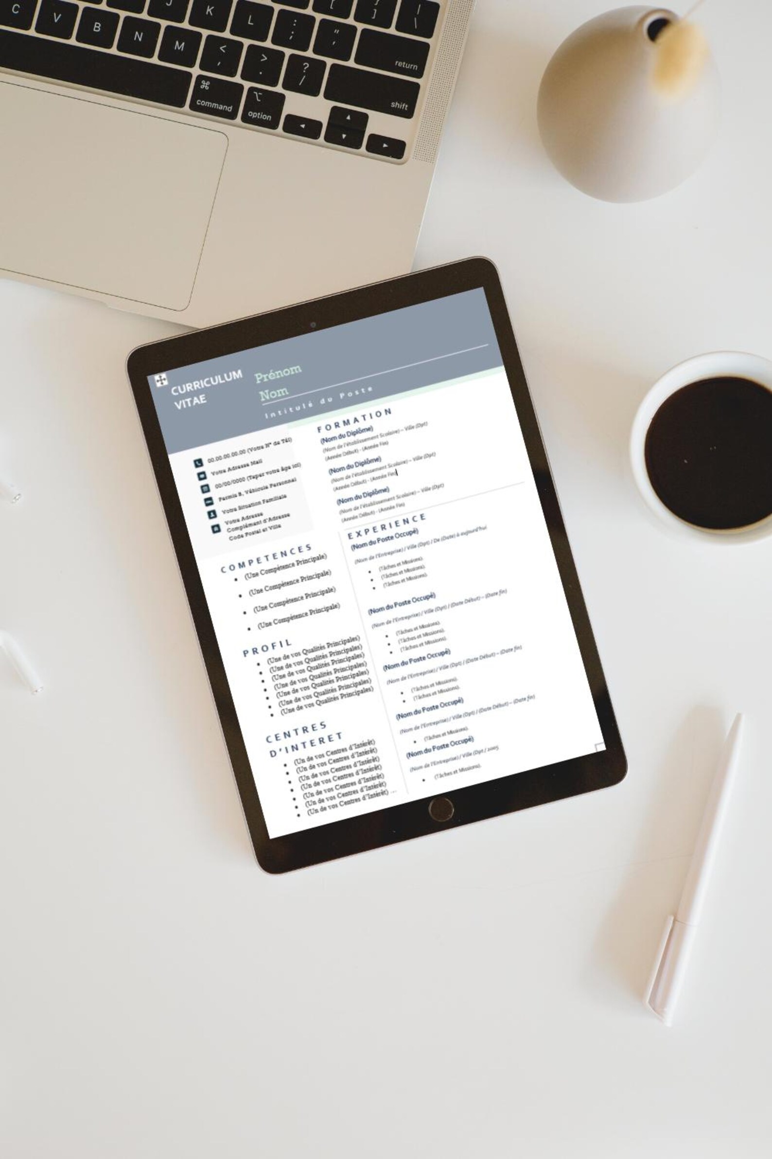 Professional CV Template Without Photo and in French, on Word ...
