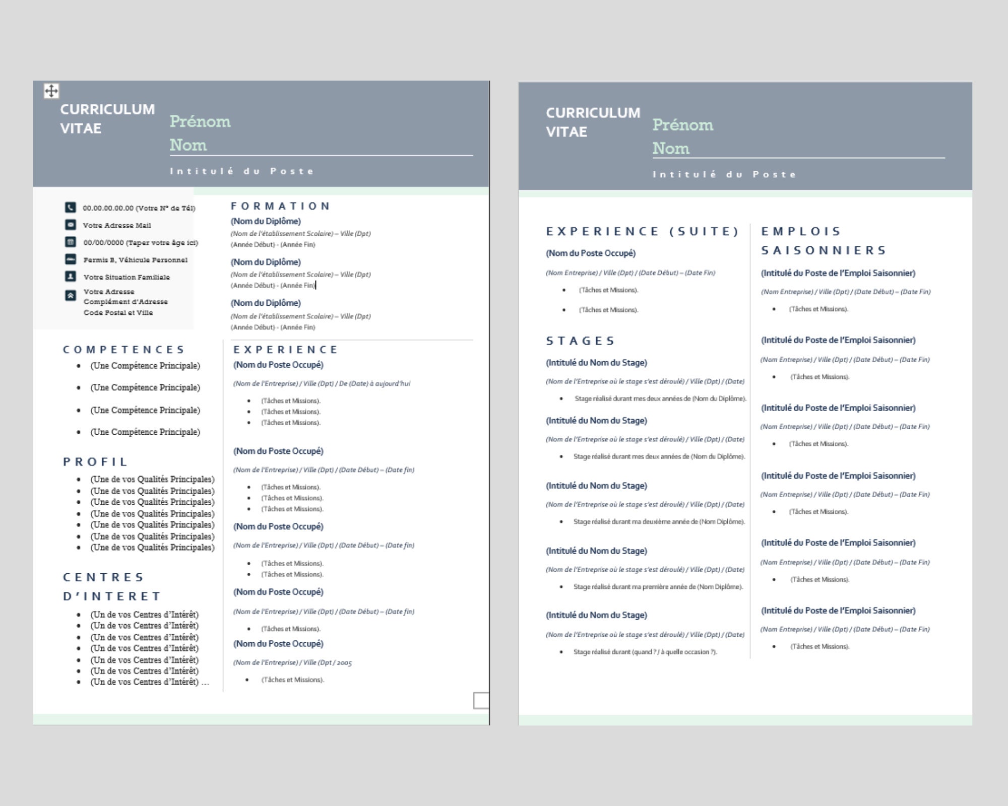 Professional CV Template Without Photo and in French, on Word ...