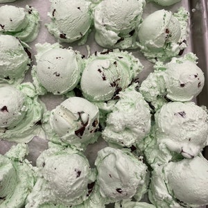 Ice Cream Mint Chocolate Chip Freeze Dried