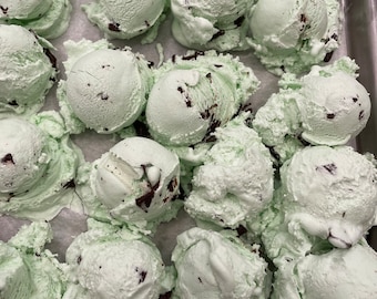 Ice Cream Mint Chocolate Chip Freeze Dried