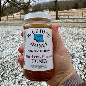 May include: A jar of Blue Hive Honey, labeled "Blackberry Blossom Honey," held against a snowy outdoor backdrop. The label features a blue beehive graphic and states the honey is pure, raw, and unfiltered, with a net weight of 16 oz.
