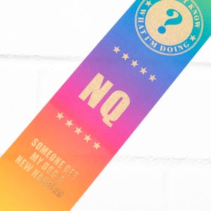 May include: A rainbow-coloured ribbon with gold stars and the text "Someone gets my dog a new harness" and "NO" in large gold letters. A gold circle with a question mark and the text "What I'm doing" is at the top of the ribbon.