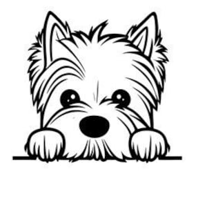 West Highland White Terrier