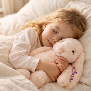May include: A soft, pale pink plush rabbit toy with long ears and a rounded nose. The name 'Aura' is embroidered in purple cursive script on one of the rabbit's ears. The stuffed animal has a fuzzy texture and dark, round eyes.