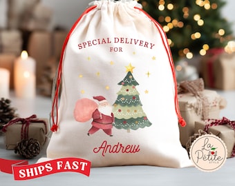 May include: A cream-colored Christmas gift bag with a red drawstring. The bag features a Santa Claus illustration carrying a sack, a Christmas tree, and the text "SPECIAL DELIVERY FOR Andrew". Gold stars are scattered across the bag.