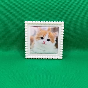 Könnte beinhalten: Ein kleiner, quadratischer weißer Bilderrahmen mit einer Perlenbordüre. Der Rahmen enthält ein Foto eines flauschigen, orange-weiß gestreiften Kätzchens mit großen schwarzen Augen und einer rosa Nase. Der Hintergrund ist einfarbig grün.