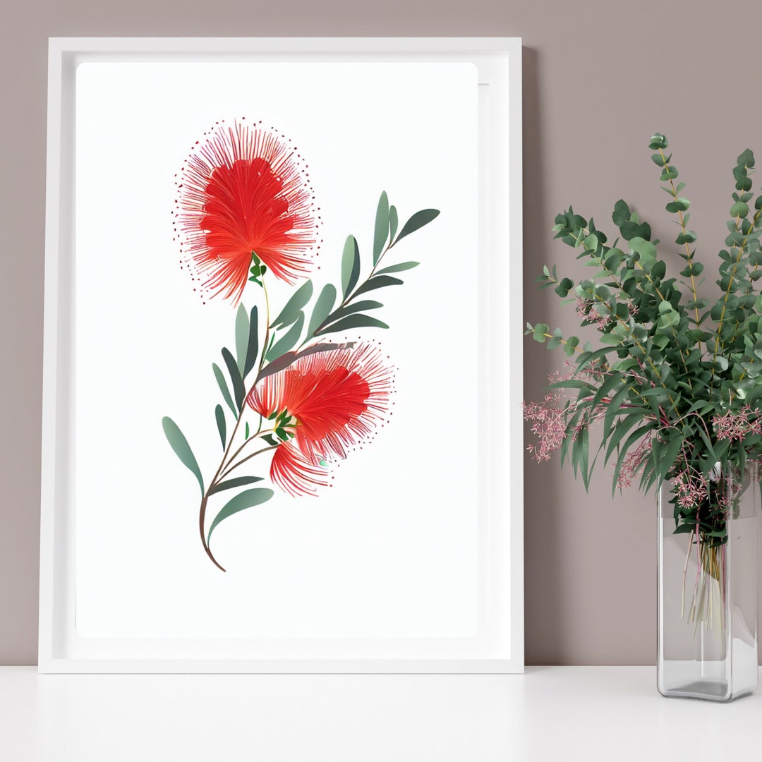 Australiana Flora, Australian Native Flower Art Prints for Home Décor