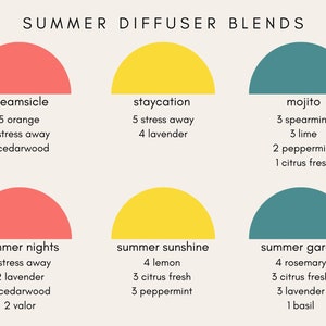 Könnte beinhalten: Eine Grafik mit sechs verschiedenen Diffusor-Mischungen für den Sommer. Jede Mischung wird durch einen Halbkreis in einer anderen Farbe dargestellt, mit dem Namen der Mischung und einer Liste der ätherischen Öle und deren Mengen. Die Mischungen sind: creamsicle, staycation, mojito, summer nights, summer sunshine und summer garden.