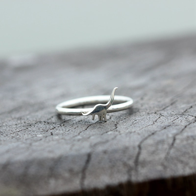 Band Ring Regular Mint - Dinosaur Designs