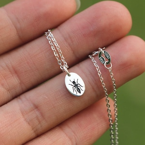 Op de afbeelding: Een zilveren ketting met een kleine, ovale hanger met een zwart mierenontwerp. De hanger hangt aan een fijne ketting. De ketting wordt getoond tegen een vage groene achtergrond.