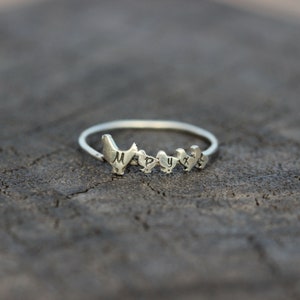 Personalized silver Hen ring,Custom family hen jewelry,dainty silver farm ring,Chicken jewelry,Mother hen & baby chick jewelry,wife jewelry