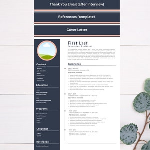May include: A black and white resume template with a green and blue landscape illustration. The resume is for First Last, Executive Assistant. The resume includes contact information, education, experience, programs, language, and references.