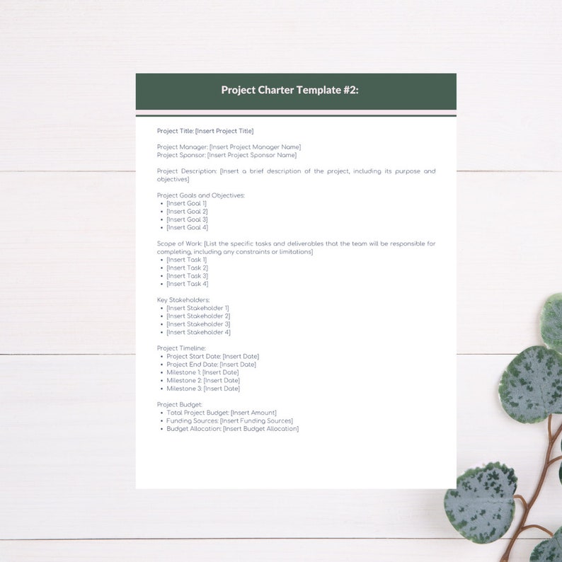 Project Management Templates Bundle | Instant Download | Fully ...