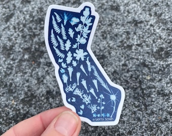 May include: A sticker in the shape of California, featuring a botanical design in shades of blue and white. The sticker showcases various plant illustrations, including ferns and flowers. The text "@sierra sown" is printed at the bottom.