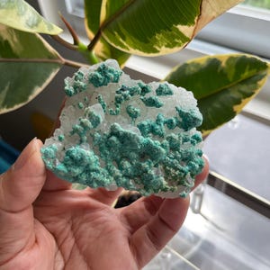 Blue crystalls chrysocolla druzy on quartz rouckhounder gift under 100 blue stone-gifted natural specimen raw crystal