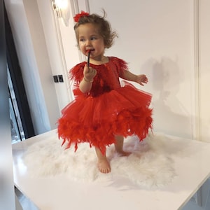 Baby Girl Red Outfit For Christmas Occasion, First Christmas Dress, New Year Tutu Dress, Christmas Photoshoot Dress, New your Costum Dress,
