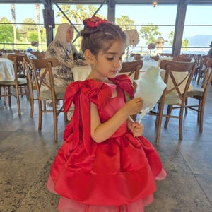 Red Baby Girl Dress, Baby Red Princess Dress, Photoshoot Dress, First Birthday Dress, Parties Outfit for Baby Girls, 1st Birthday Red Dress