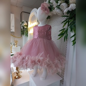 Toddler Pageant Dress, Flower Girl Dress, 1 year Birthday Dress, Princess Girl Puffy Dress, Toddler Girl Gift,Birthday Costume,Powder Dress