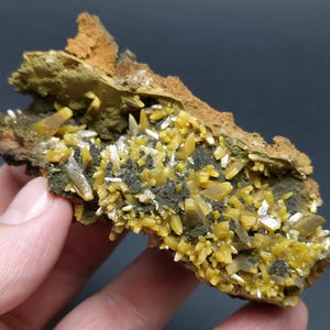Puede incluir: Un cúmulo de cristales amarillos y plateados incrustados en una matriz rocosa marrón, verde y gris.