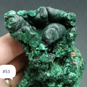 TOP collection 2024 Intense green fibrous+botryoidal malachite. Mindigi mine, Katanga, DR Congo.295g.10, 3cmx8.3cmx4.5cm