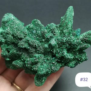 MUST rare 2024 new find, Malachite pseudomorphosis after Barite+Dioptase.Kapata,Kolwezi,DR Congo.395g.10cmx7.8cmx4.5cm