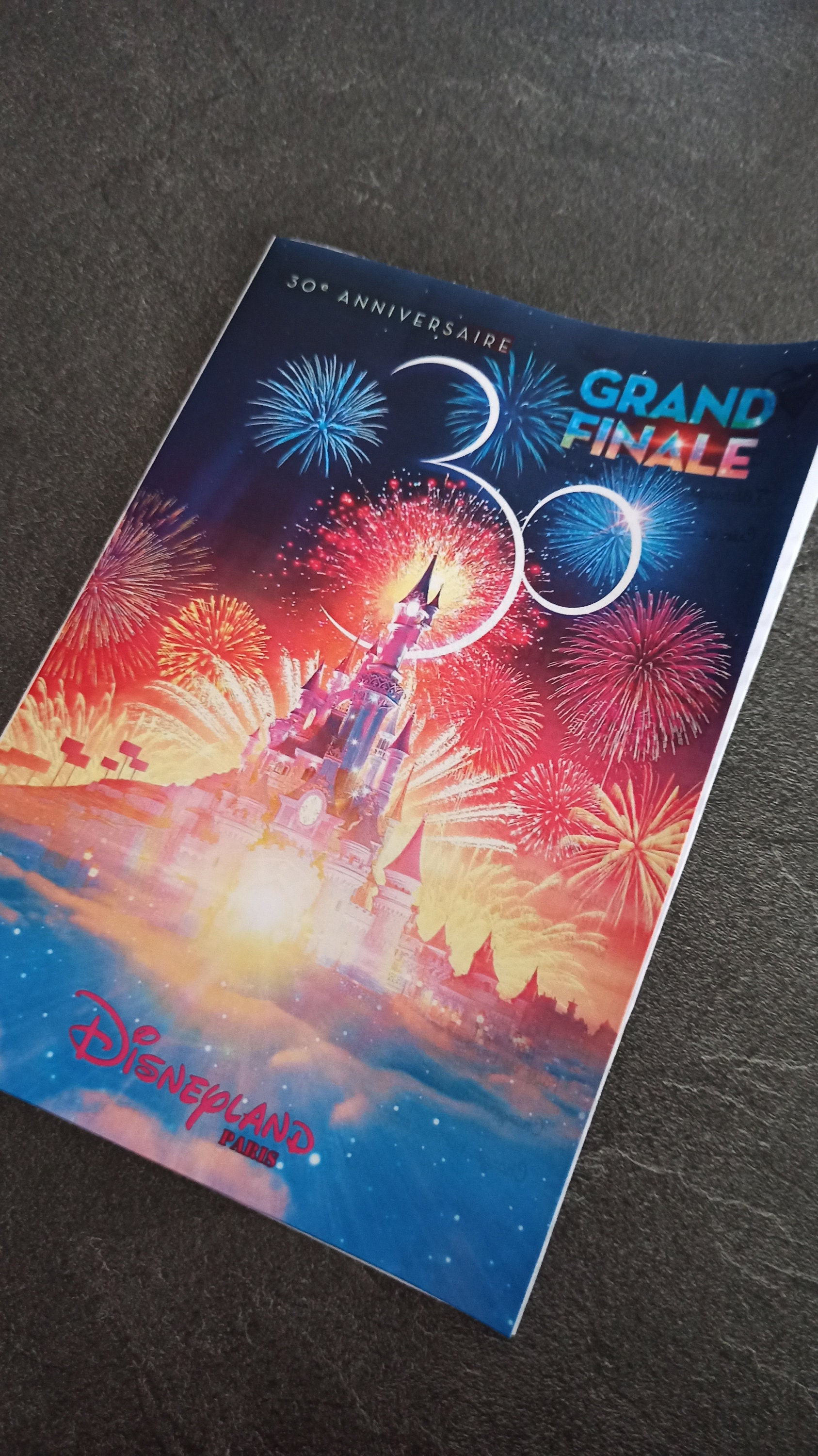 Disneyland Paris guide, Surprise card, Original travel announcement, Eurodisney Christmas gift for children, Download, Printable