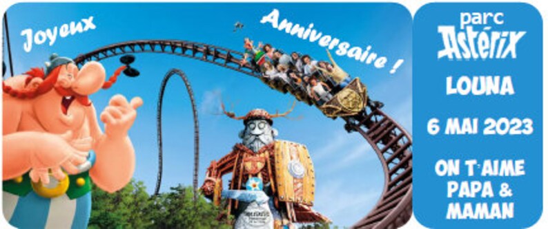 Billet Parc Astérix, Ticket personnalisé, Invitation, Cadeau personnalisé, Annonce voyage originale, Toutatis image 2