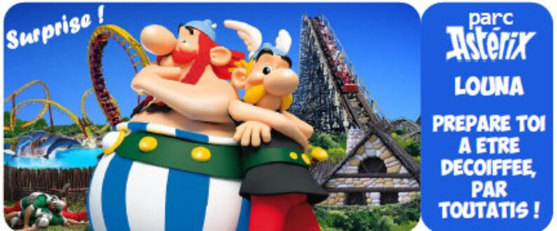 Billet Parc Astérix, Ticket personnalisé, Invitation, Cadeau personnalisé, Annonce voyage originale, Toutatis image 5